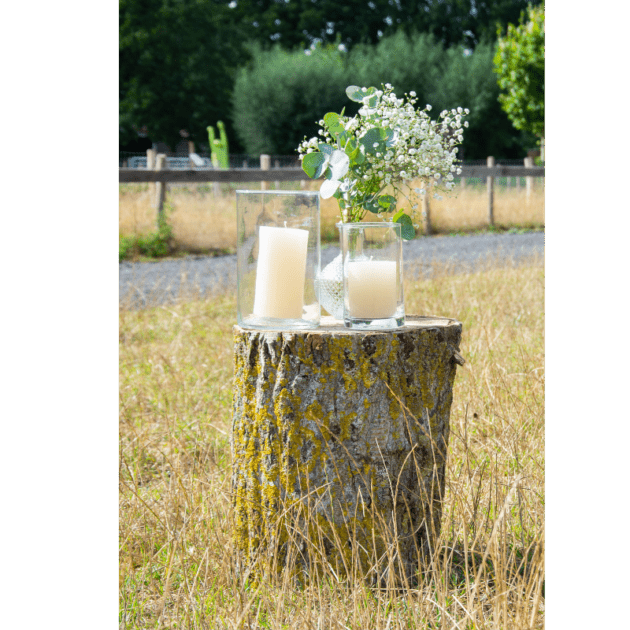 Boomstam 50 cm - Afbeelding 2